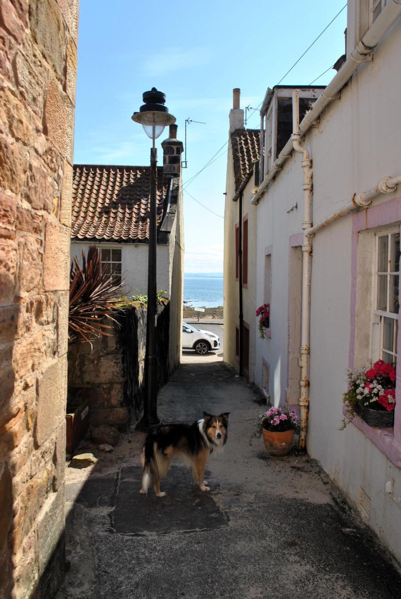 Dookers Nook- Quirky Coastal Cottage Pittenweem Kültér fotó